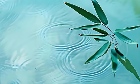 竹葉水的功效與作用是什么，有什么功效作用與好處？